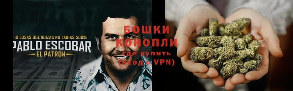 ПСИЛОЦИБИНОВЫЕ ГРИБЫ Верхнеуральск