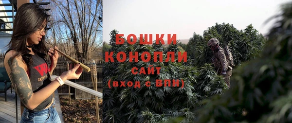 PSILOCYBIN Богданович
