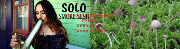 PSILOCYBIN Богданович
