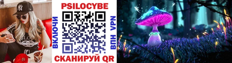 Псилоцибиновые грибы Psilocybe  Еманжелинск 